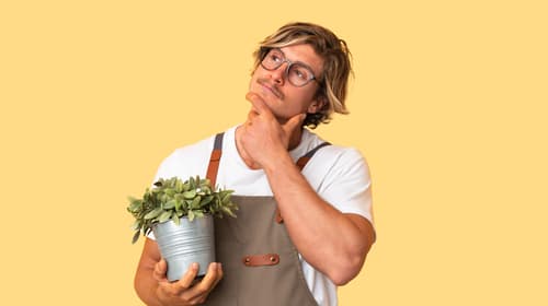 Where to check the National Garden Gift Card balance?